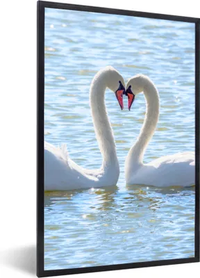Produktbild von MuchoWow® Gerahmtes Poster Vögel - Schwan - Wasser - Liebe - Sonne 60x90 cm - Poster mit Schwarzem Bilderrahmen Wandposter Rahmen Foto Bilder - Kunst
