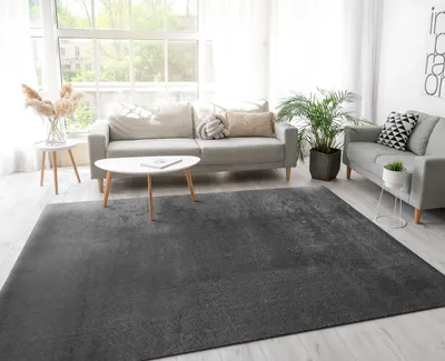Produktbild von Moderner Wohnzimmer Teppich Kurzflor Waschbar Weich Einfarbig Felloptik Anti-Rutsch Grösse 300x400 cm