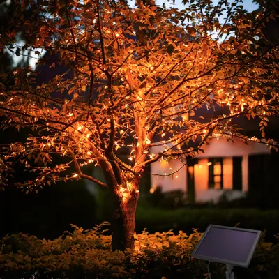 A tree decorated with amber LED string lights at dusk, with a house in the background and a solar panel in the foreground.
