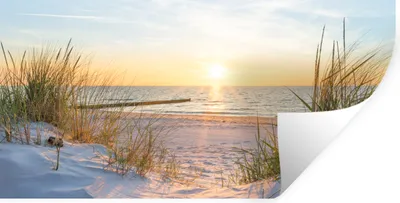 Produktbild von MuchoWow® Wandtattoo Wandsticker Wandaufkleber Strand - Sonne - Düne - Gras - Sand - Horizont 120x60 cm Selbstklebend und Repositionierbar - Sticker - Dekorfolie