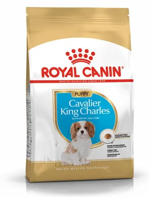 Produktbild von ROYAL CANIN Breed Health Nutrition CAVALIER PUPPY WELPE 1,5 kg Trockenfutter