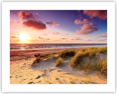 Produktbild von Poster - Poster ohne Rahmen - Meer Strand Düne - 50x40 cm - Wand Bild - Wanddeko - Wandbilder - Kunstposter - Wandposter - Bilder - Kunstdruck - Wanddekoration - Wandbild - P2XAA50x40-3540