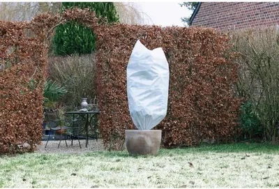 Image de Housse d'Hivernage, Lot de 3, 50 g/m², Ø 50 cm x 1 m, Blanc