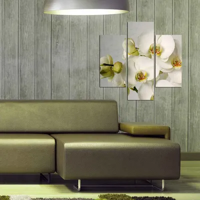 Produktbild von Wallity, 3MDF- TRE1962, Bunt, Leinwandbilder, 64 x 60 cm, 100% MDF (Dicke: 3 mm)