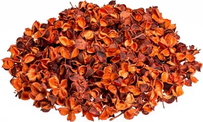Produktbild von Baumwolle Pods Orange 250g getrocknete Baumwollknospen Deko DIY Herbst Natur