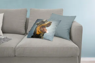 Produktbild von MuchoWow® Zierkissen Sofakissen Wohnzimmer Dekokissen 60x40 cm Rottweiler mit Zunge aus dem Maul - Kopfkissen - Polster mit Foto