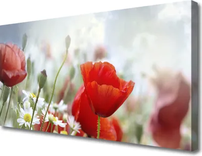 Produktbild von Tulup Leinwand-Bilder 100x50 Wandbild Canvas Kunstdruck Blumen Pflanzen