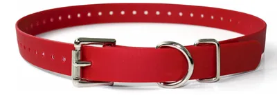 Produktbild von Educator Biothane Halsband, 2,5 cm, Rot