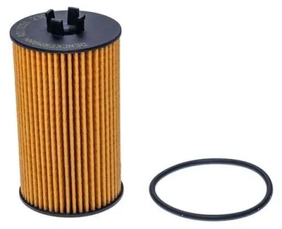 Obrázok produktu pre EBG Filter mazacieho oleja Opel 55584685
