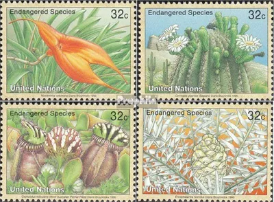 Produktbild von Briefmarken UNO - New York 1996 Mi 707-710 (kompl.Ausg.) gestempelt Gefahrdete Pflanzen