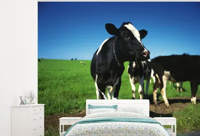 Produktbild von MuchoWow® Fototapete für Wohnzimmer oder Schlafzimmer Wandtapete Vinyl Motivtapete Kuh - Gras - Tiere - 300x240 cm - Fototapeten