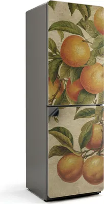 Zdjęcie produktu dla Owoce na gałęzi - osłona magnetyczna na lodówkę - folia dekoracyjna magnetyczna do kuchni - magnes na lodówkę deco - samoprzylepna tablica magnetyczna - folia magnetyczna na drzwi lodówki - 60x190 cm
