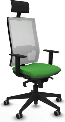 Image de Bürostuhl Piqueras y Crespo 1D066G1 grün