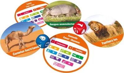 Obrázek produktu pro CREATIVAMENTE Savci - francouzská verze