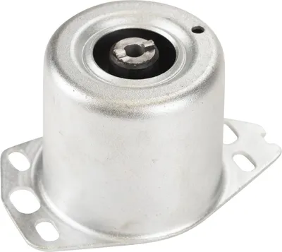 Image de Suspension moteur avant gauche 46781213