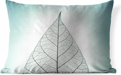 Produktbild von MuchoWow® Outdoor Kissen - Nahaufnahme eines botanischen Blattskeletts mit einem bunten Hintergrund - 50x30 cm - Wetterfest - Lounge Kissen - Sofa kissen - Wohnzimmer Dekoration