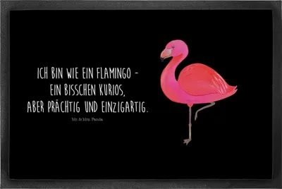 Produktbild von Mr. & Mrs. Panda Schmutzmatte Flamingo Classic 50 x 75 cm - Schwarz - Geschenk, Schmutzfänger, Fussmatte, Spruch, Schmutzfangmatte, Sohn, Prächtig, glücklich, Rosa, Ich