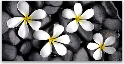 Produktbild von Tulup Leinwand-Bilder 140x70 Wandbild Canvas Kunstdruck Blumen Pflanzen