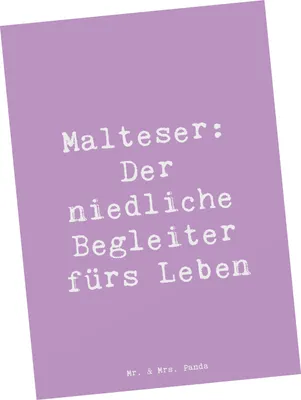 Produktbild von Mr. & Mrs. Panda Postkarte Spruch Malteser Begleiter - Lavendeltraum - Geschenk, Fotokarte, Hunderasse, Hundefreundschaft, Familienhund, Hunderassen Vielfalt, Kleine