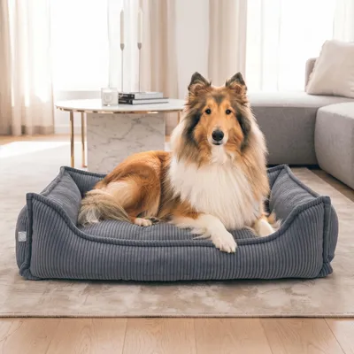 Produktbild von 4L Textil HUGO Orthopädisches Hundebett aus Cord Premium-LINE Hundekorb mit Bezug (100x80 cm, Dunkelgrau)