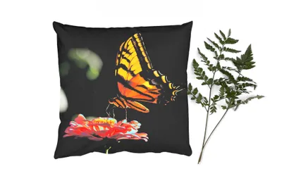 Produktbild von MuchoWow® Zierkissen Sofakissen Wohnzimmer Dekokissen 40x40 cm Schmetterling - Botanisch - Blume - Foto Kissen - Schlafzimmer Dekoration