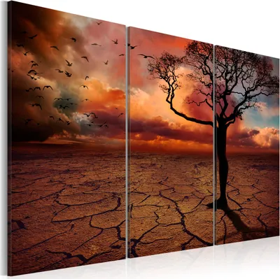 Produktbild von Modernes Wandbild 020101- 33 (120x80) - 3 Teilig Bilder Fotografie auf Vlies Leinwand Foto Bild Dekoration Wand Bilder Kunstdruck Natur Abstrakt