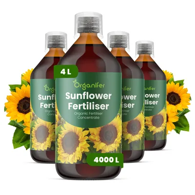 Obrázok produktu pre Tekuté hnojivo pre slnečnice, 4 x 1 liter – vzorec NPK 3-4-3 – vhodné pre slnečnice – pre dlhodobé kvitnutie, silnú štruktúru a vitalitu – značka Organifer
