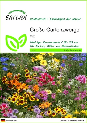 Produktbild von SAFLAX - Große Gartenzwerge - Mix - 1000 Samen