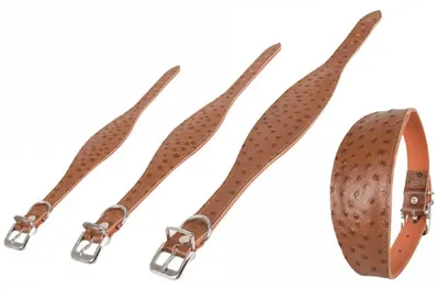 Produktbild von Karlie - Ventus Halsband, 55Cm 60Mm Braun, Cognac Unterlegt, 5010019