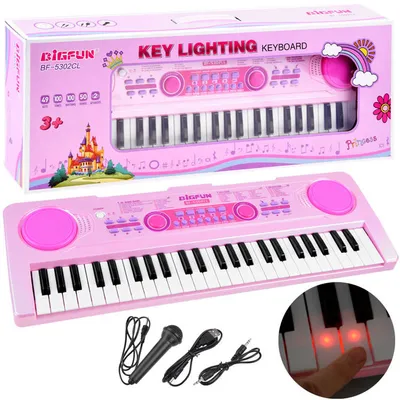 Image de Orgue avec microphone et touches lumineuses IN0151