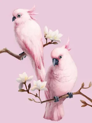 Produktbild von Diamantstickerei Rosa Papageien 35x45 cm