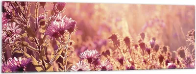 Produktbild von Bilder auf glas - Einteilig - Wiese Blumen Sonne - 160x50cm - Glasbilder - Wandbilder - Bilder - zum Aufhängen bereit - Wanddekoration aus Glas - Glas Bilder - Wandbild auf Glas - GAB160x50-4819
