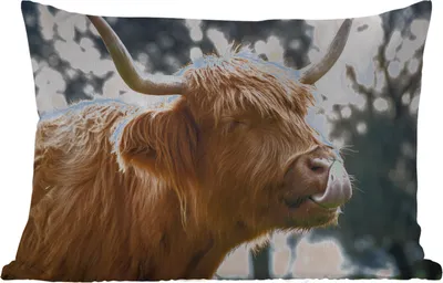Produktbild von MuchoWow® Outdoor Kissen - Schottisches Hochlandrind - Kuh - Frühling - Tiere - 50x30 cm - Wetterfest - Lounge Kissen - Sofa kissen - Wohnzimmer Dekoration