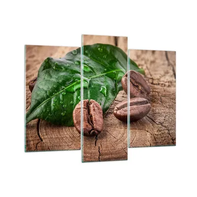 Produktbild von Bilder auf glas - Aroma Kaffee Pflanze Samen - 130x100cm - Glasbilder - Wandbilder - Kunstdruck - zum Aufhängen bereit - Wanddekoration aus Glas - Glas Bilder - Wandbild auf Glas - GCB130x100-2548