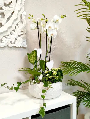 Produktbild von Keramik Pflanz-Gefäß rund weiß Ø 28cm