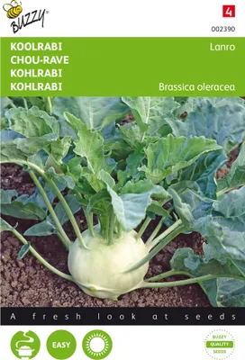 Artikelbild 1 von 'Kohlrabi Lanro' aus der Kategorie Kohlrabisamen