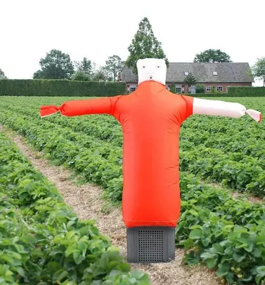Productafbeelding van Portek Scare man Vogelverschrikker