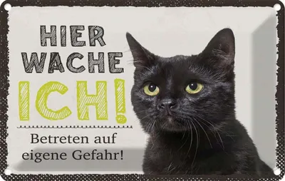 Produktbild von vianmo Blechschild 20x30 cm Katze hier wache ich eigene Gefahr