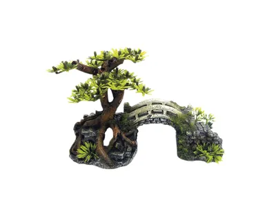 Image de Nobby Décoration d'aquarium Pont avec bonsaï avec plantes
