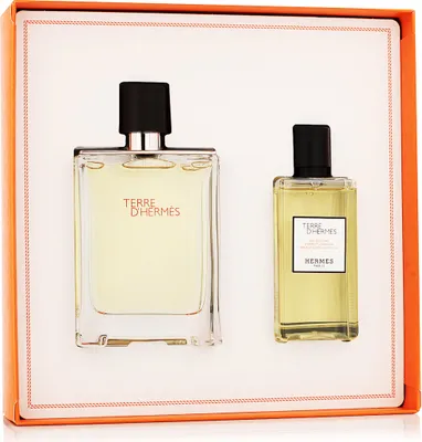 Produktbild von Hermès Hermes Terre Eau de Toilette Spray 100ml Sets