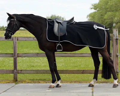 Image de Couvre-reins QHP Fleece Ornament noir/argent, QHP17_Taille:L
