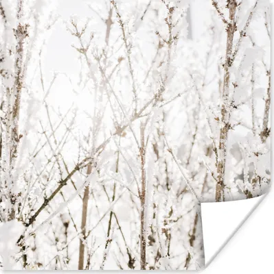 Produktbild von MuchoWow® Poster Winter - Äste - Eis 75x75 cm - Wand Dekoration