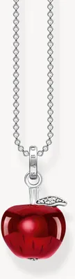 Zdjęcie produktu dla Thomas Sabo Kobiety Biżuteria na szyję KE1991-691-10-L45V