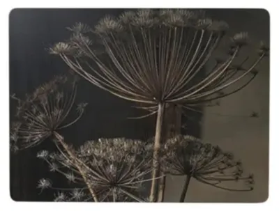 Imagen del producto de Juego de 4 individuales para mesa, diseño "PusteBlume", color gris corcho, 40x29 cm, marca Hakbijl