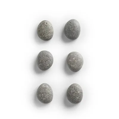 Obrázek produktu pro Zeller 11219 6 Zeller Stone Magnete grau 2,1 x 1,8 x 1,0 cm