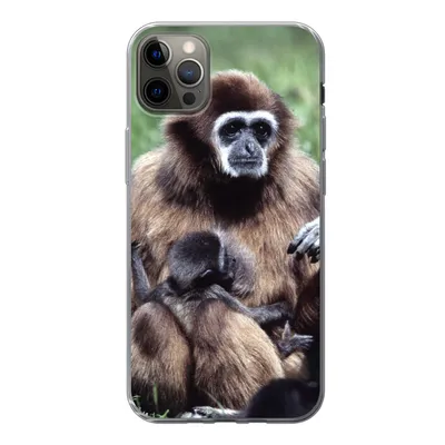Produktbild von MuchoWow® Handyhülle Schutzhülle Hülle für iPhone 13 Pro Max Affe - Pflanzen - Jung Silikon Softcase Handy Hülle - Mobiltelefon
