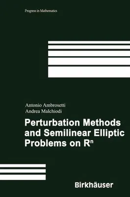 Image de Perturbation Methods and Semilinear Elliptic Problems on R^n