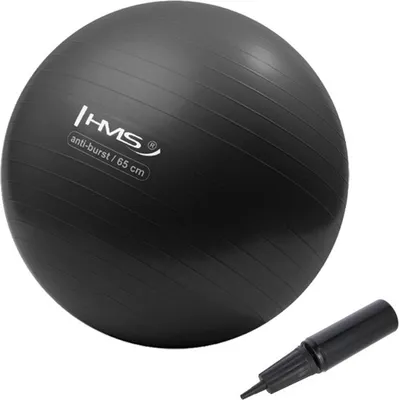 Obrázek produktu pro Gymnastický míč HMS YB02N 65 cm černý