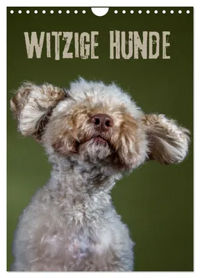 Produktbild von Witzige Hunde (Wandkalender 2027 DIN A4 hoch), CALVENDO Monatskalender