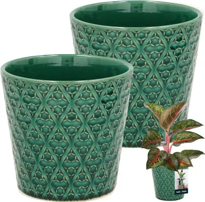 Productafbeelding van KOTARBAU® Vintage bloempot, bloempot, keramiek, groen, ? 12 cm, hoogte 13 cm, geglazuurd, 2 stuks, trapeziumvormige bloempot, groot, bloempotten voor kamerplanten, bloempot, blauw, keramiek